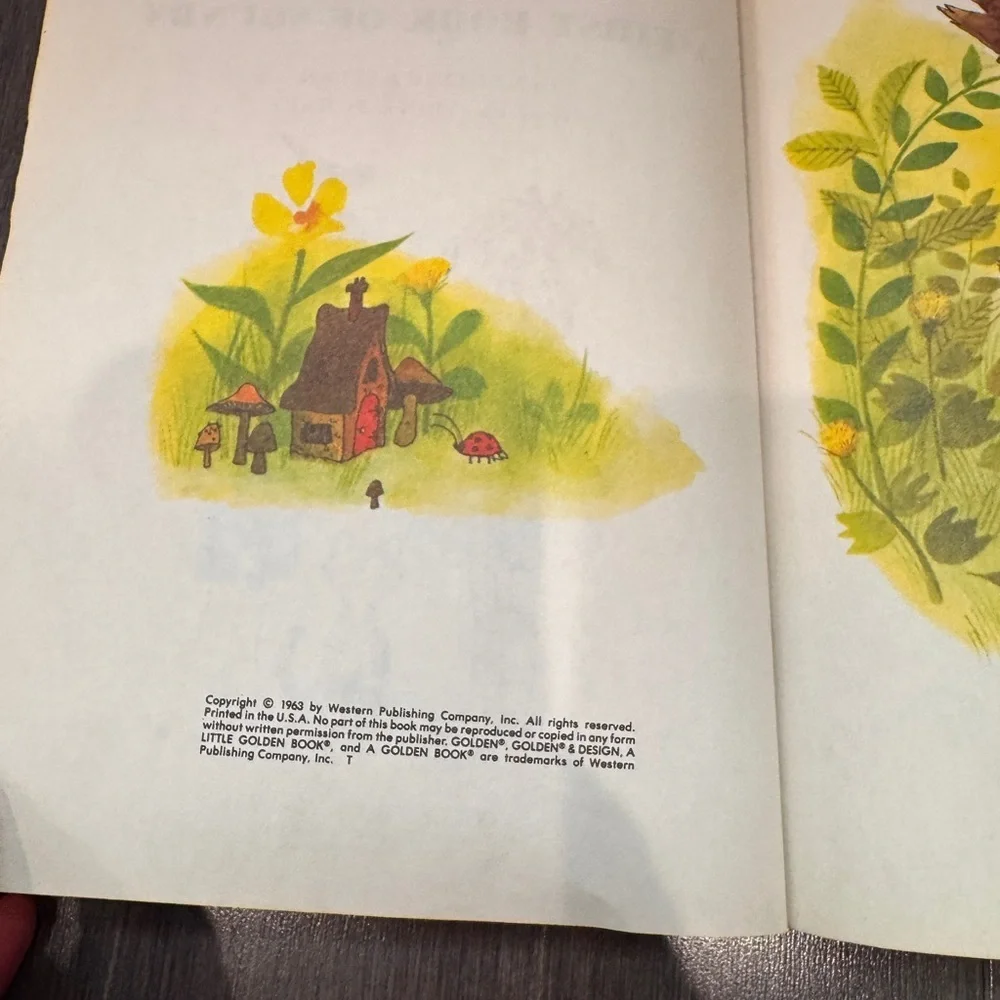 VINTAGE Little Golden Book: Bow Wow! Meow! A First Book of Sounds Hardcover